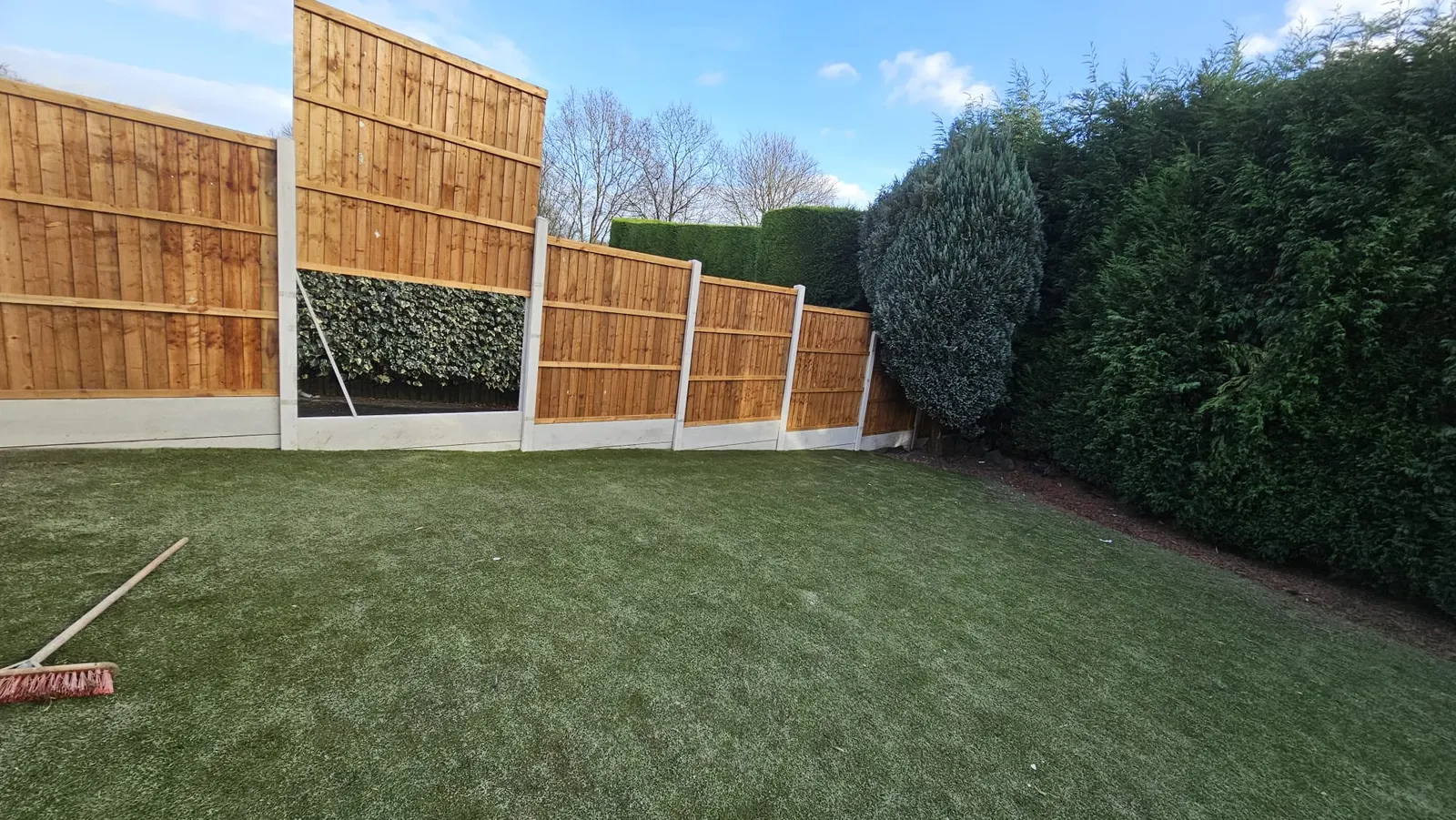 New lawn in a fenced rear garden